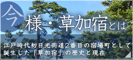 今様・草加宿とは